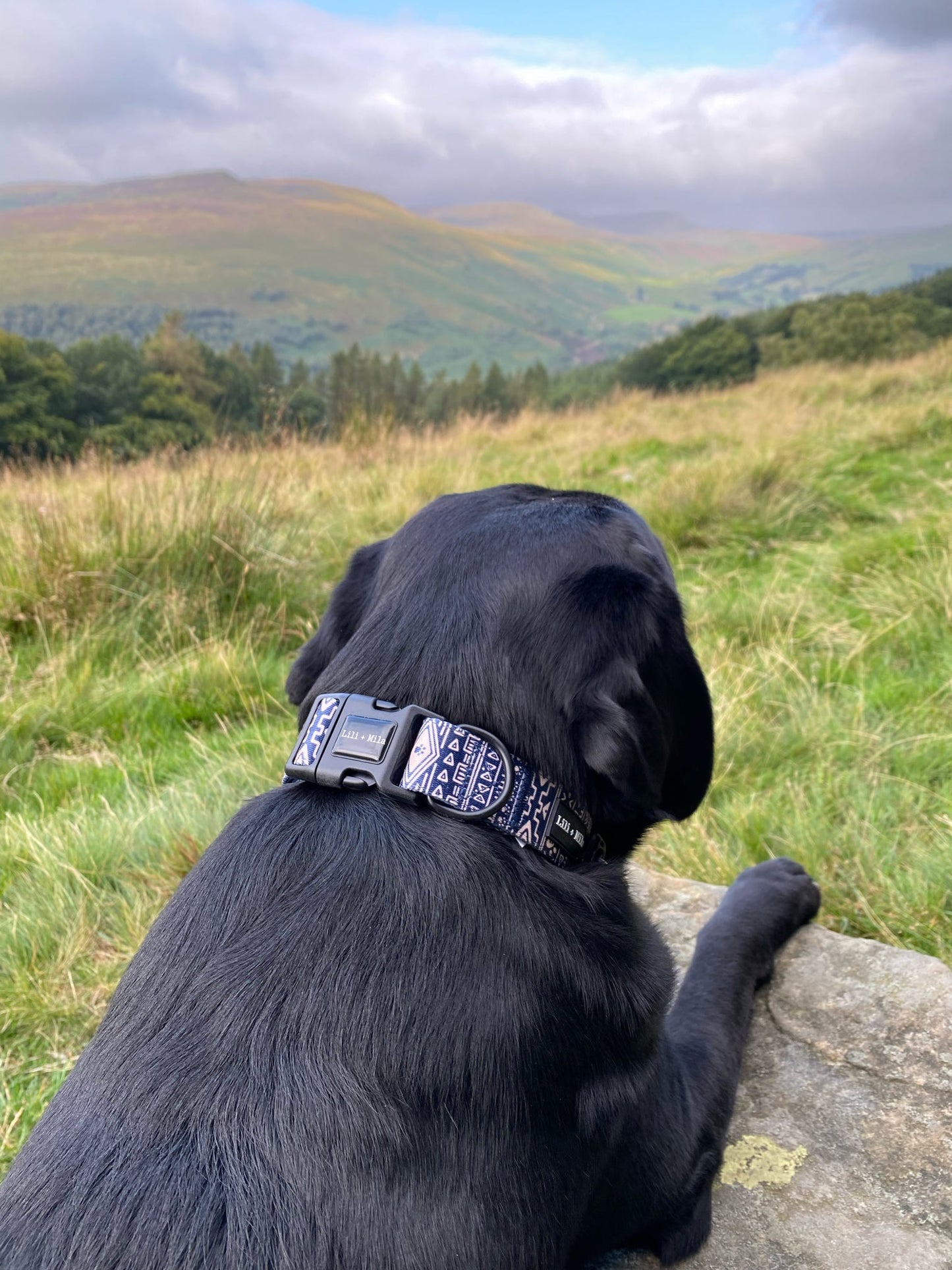 Aztec Azure (Blue) Collar