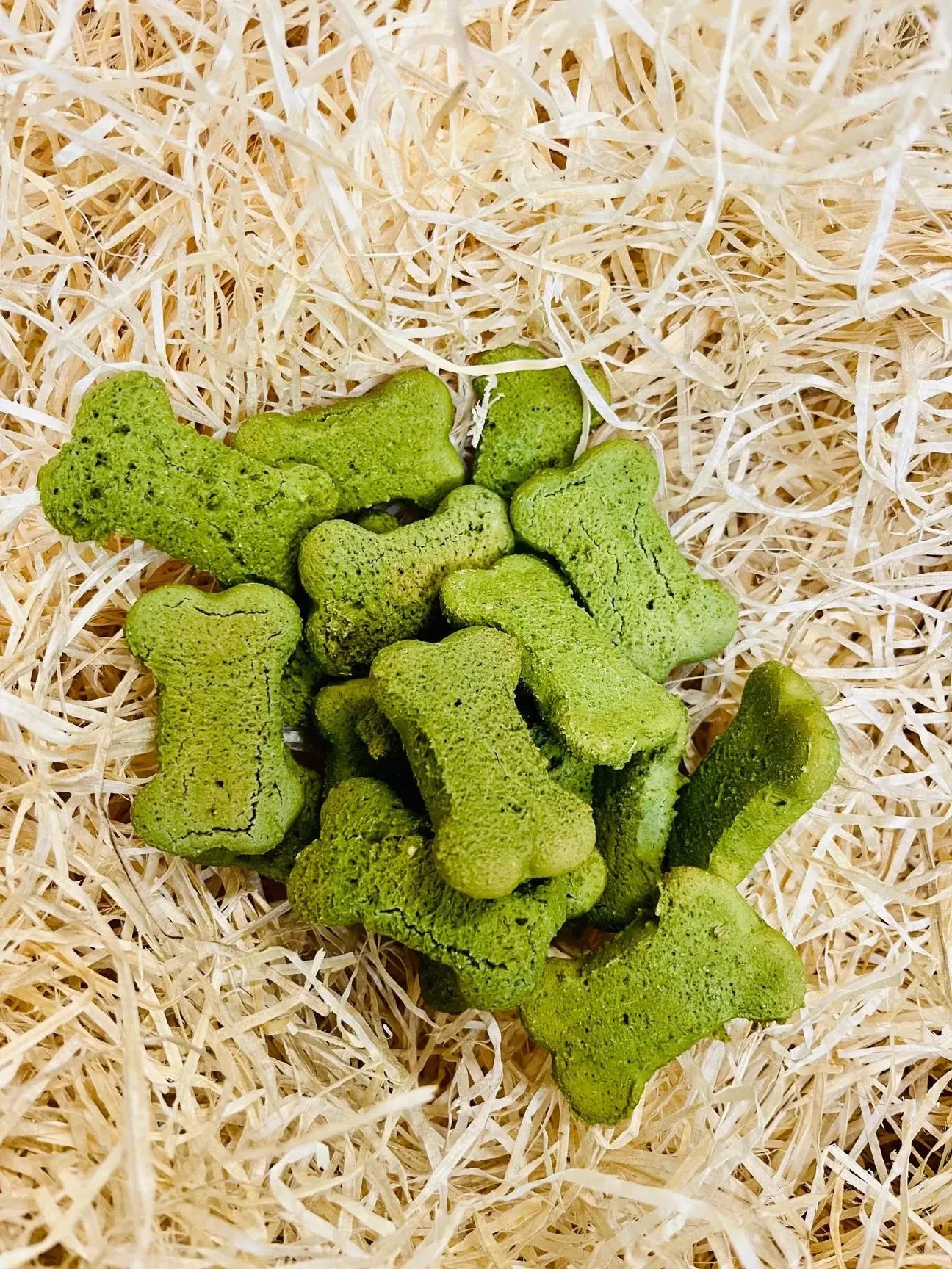 Life of Riley Minty Bones (Bag) Lili + Mila's Empawrium