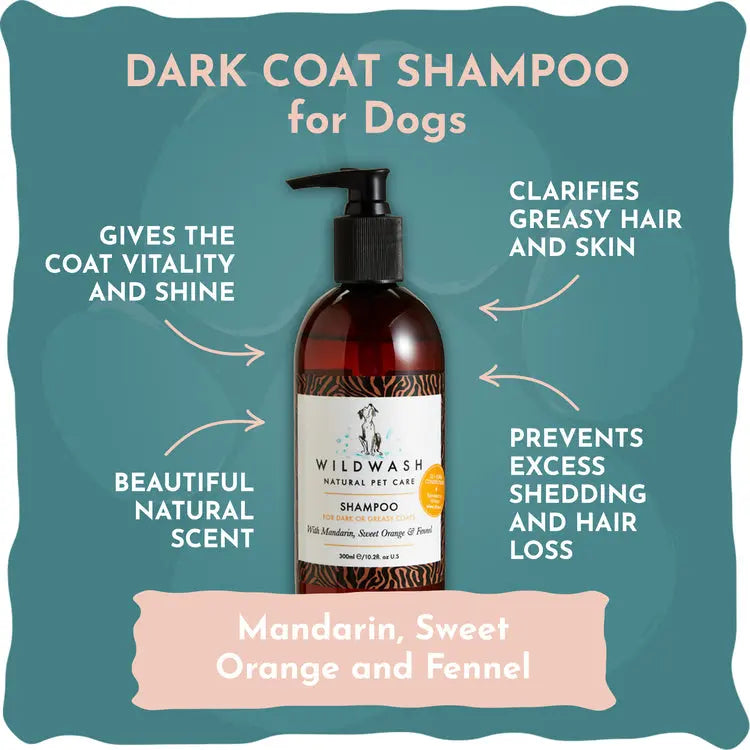 Dark and Greasy Wildwash Shampoo My Store
