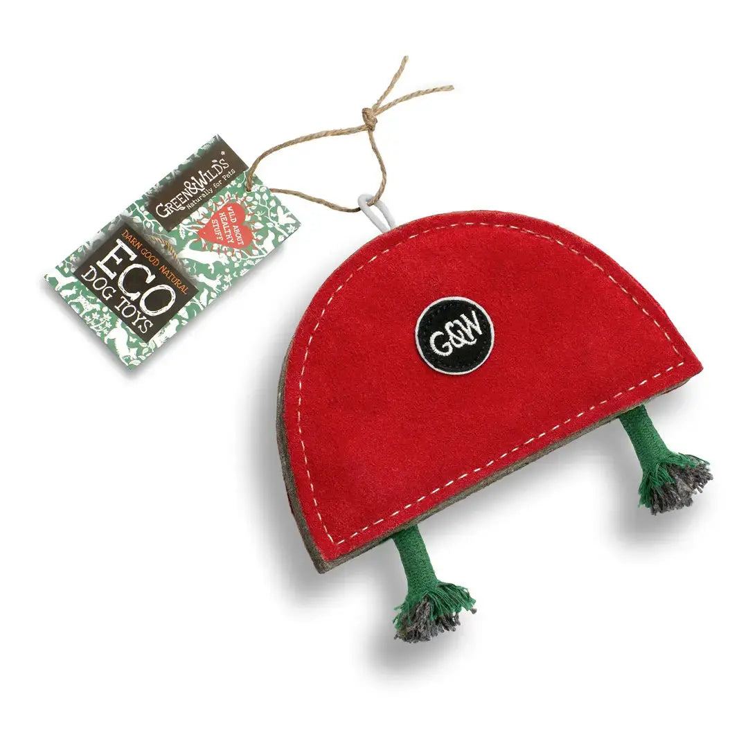 Rainbow Warrior Toy Green and Wilds