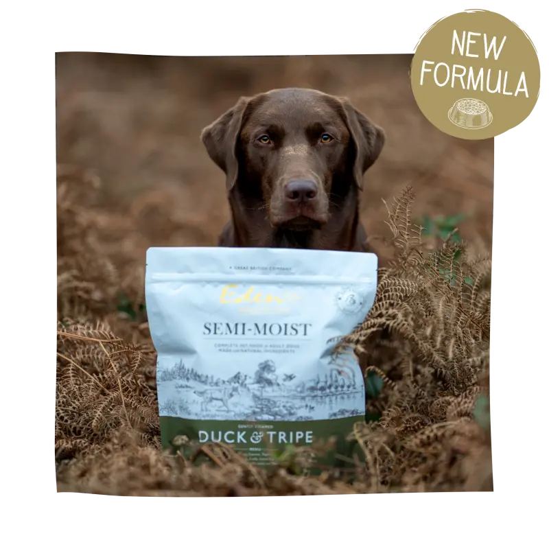 Eden 60/40 Succulent Semi-Moist Duck and Tripe (2KG - 10KG) Lili + Mila's Empawrium