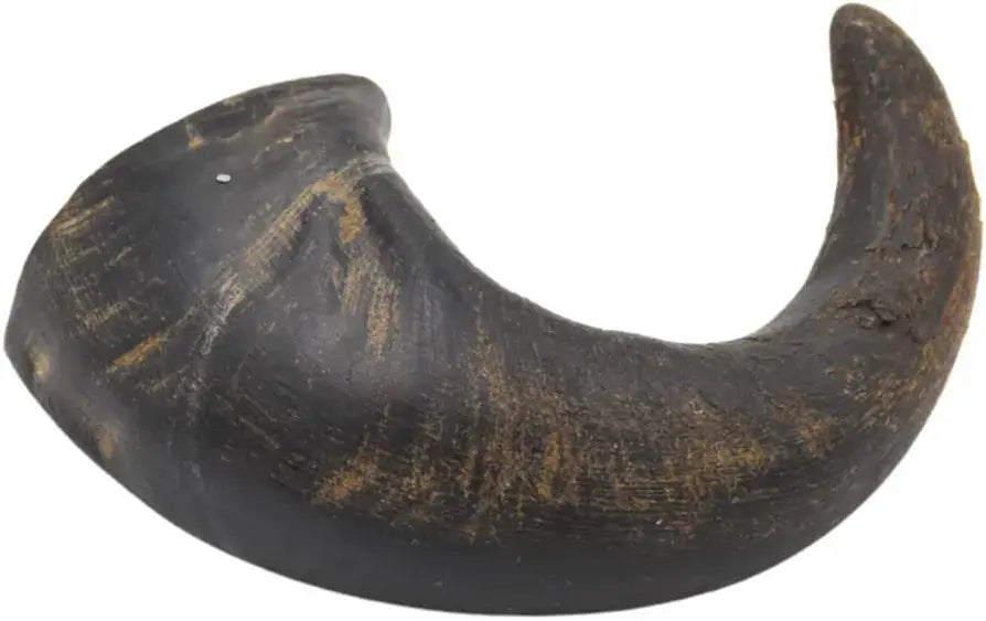 Buffalo Horn (Medium) Lili + Mila's Empawrium