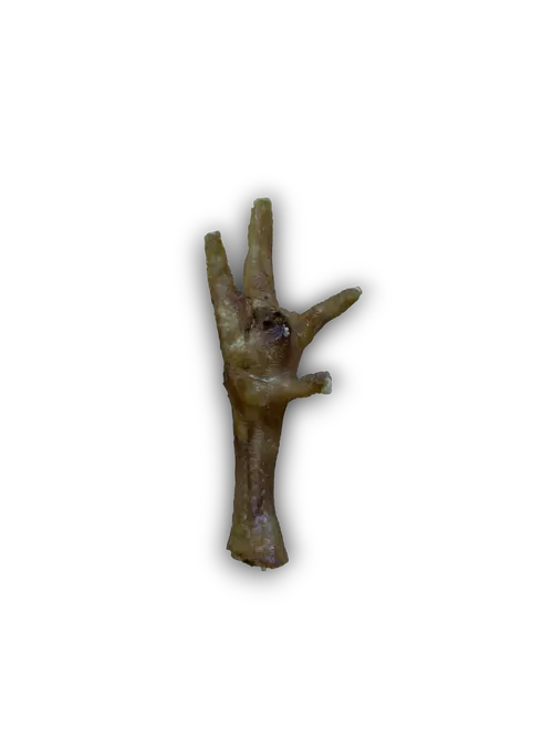 Chicken Foot Anco