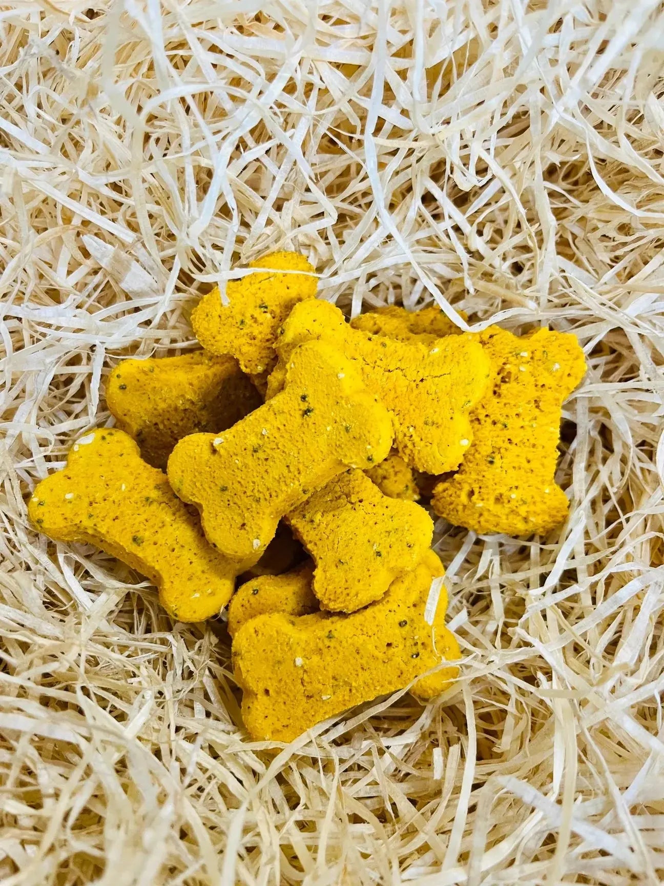 Life of Riley Hips and Joints (Bag) Lili + Mila's Empawrium