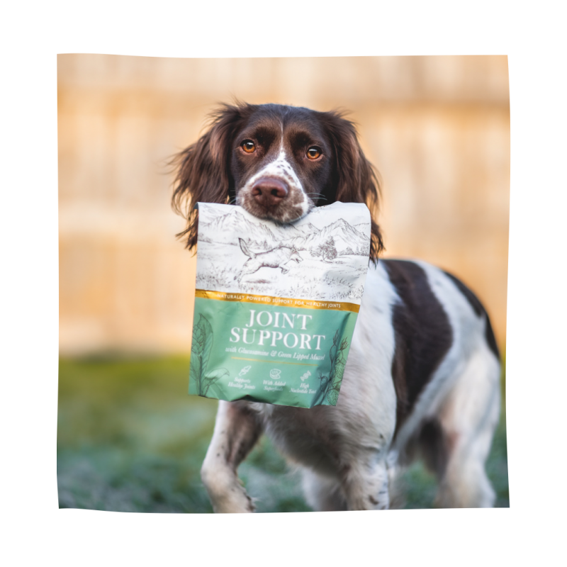 Eden Joint Support (250g) My Store