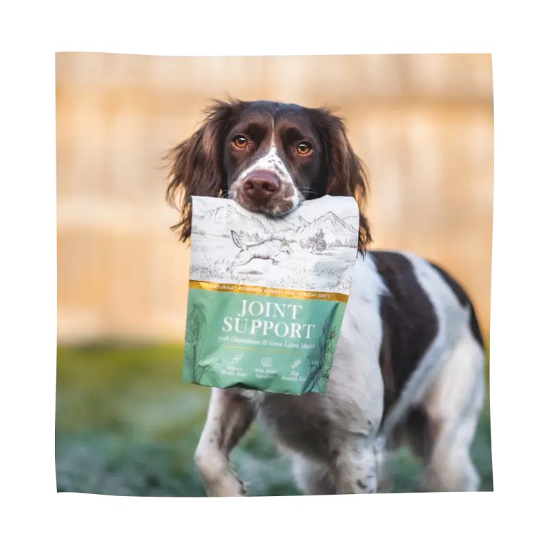 Eden Joint Support (250g) Lili + Mila's Empawrium