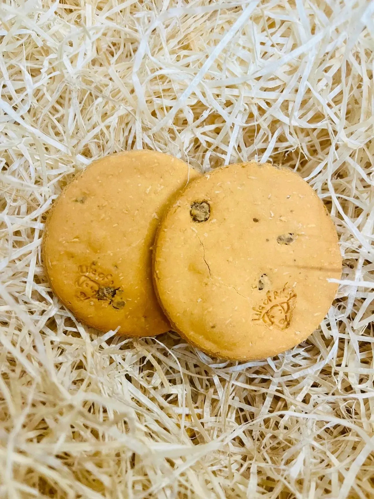 Cookie Lili + Mila's Empawrium