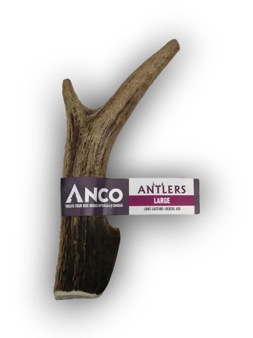 Antler (Large) Anco