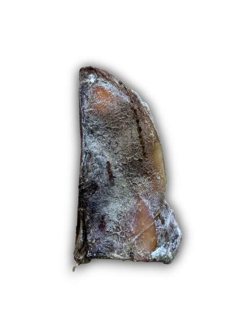 Moon Bones Anco