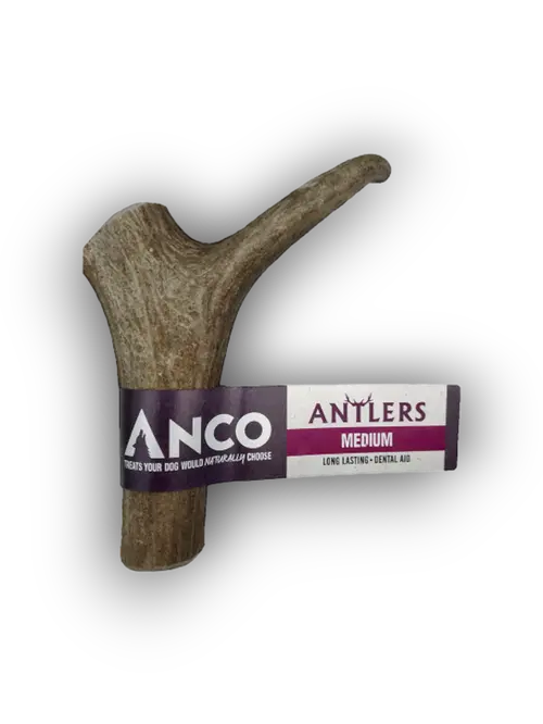 Antler (Medium) Anco