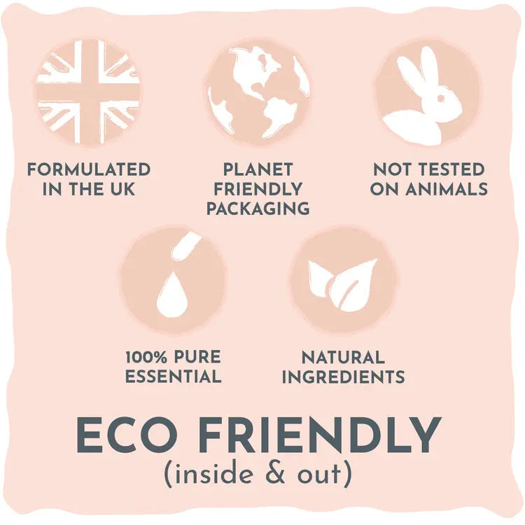 Detangler (Cat) Wildwash Lili + Mila's Empawrium