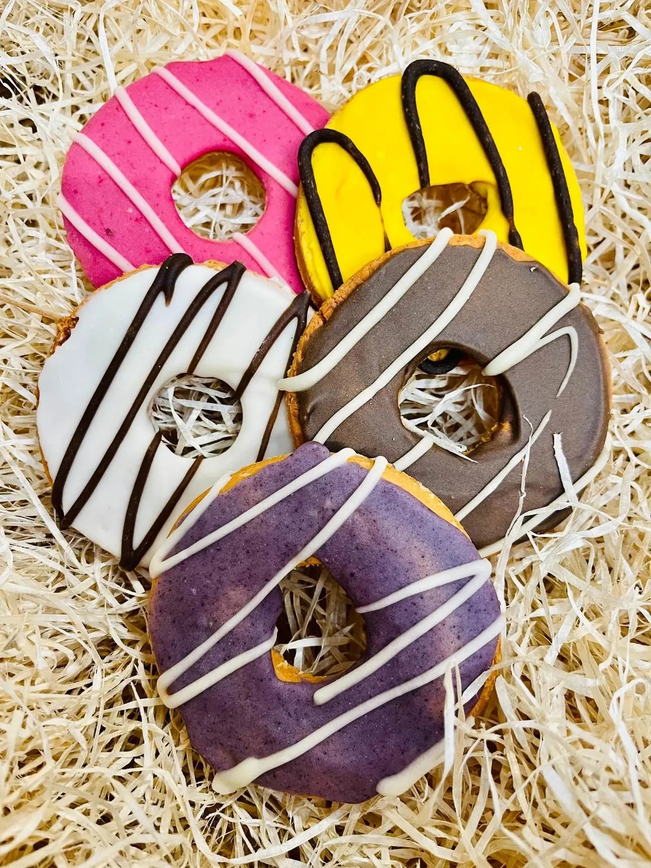 Doggy Doughnut Lili + Mila's Empawrium