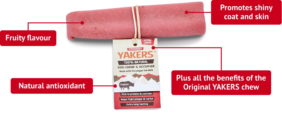 Yakers XL Chew (Strawberry) Yakers