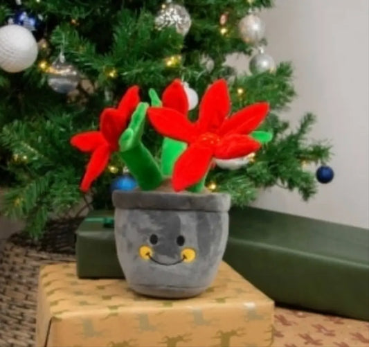 Henrietta Poinsettia Ancol