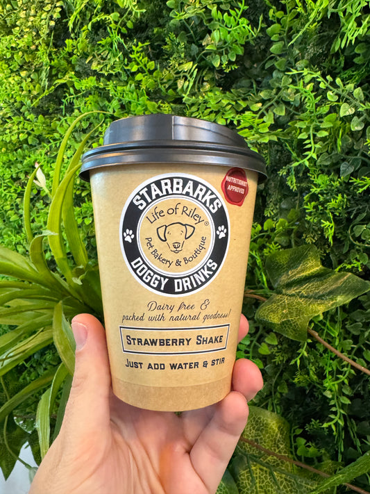 DIY Doggy Drink - Starbarks Strawberry Shake Lili + Mila's Empawrium