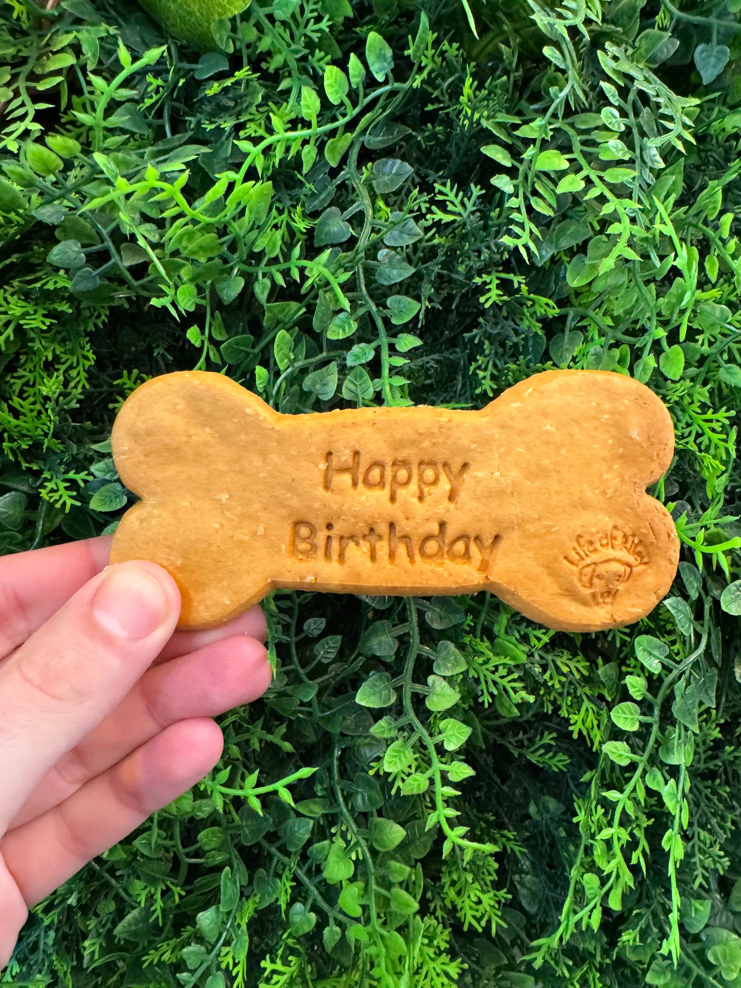 Happy Birthday Biscuit Lili + Mila's Empawrium