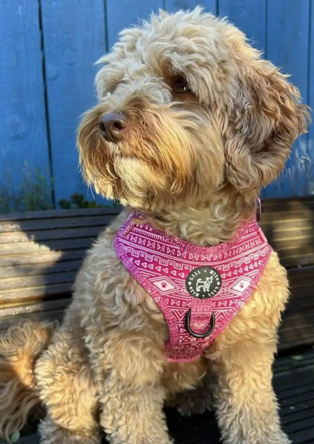 Aztec (Pink) Adjustable Harness My Store