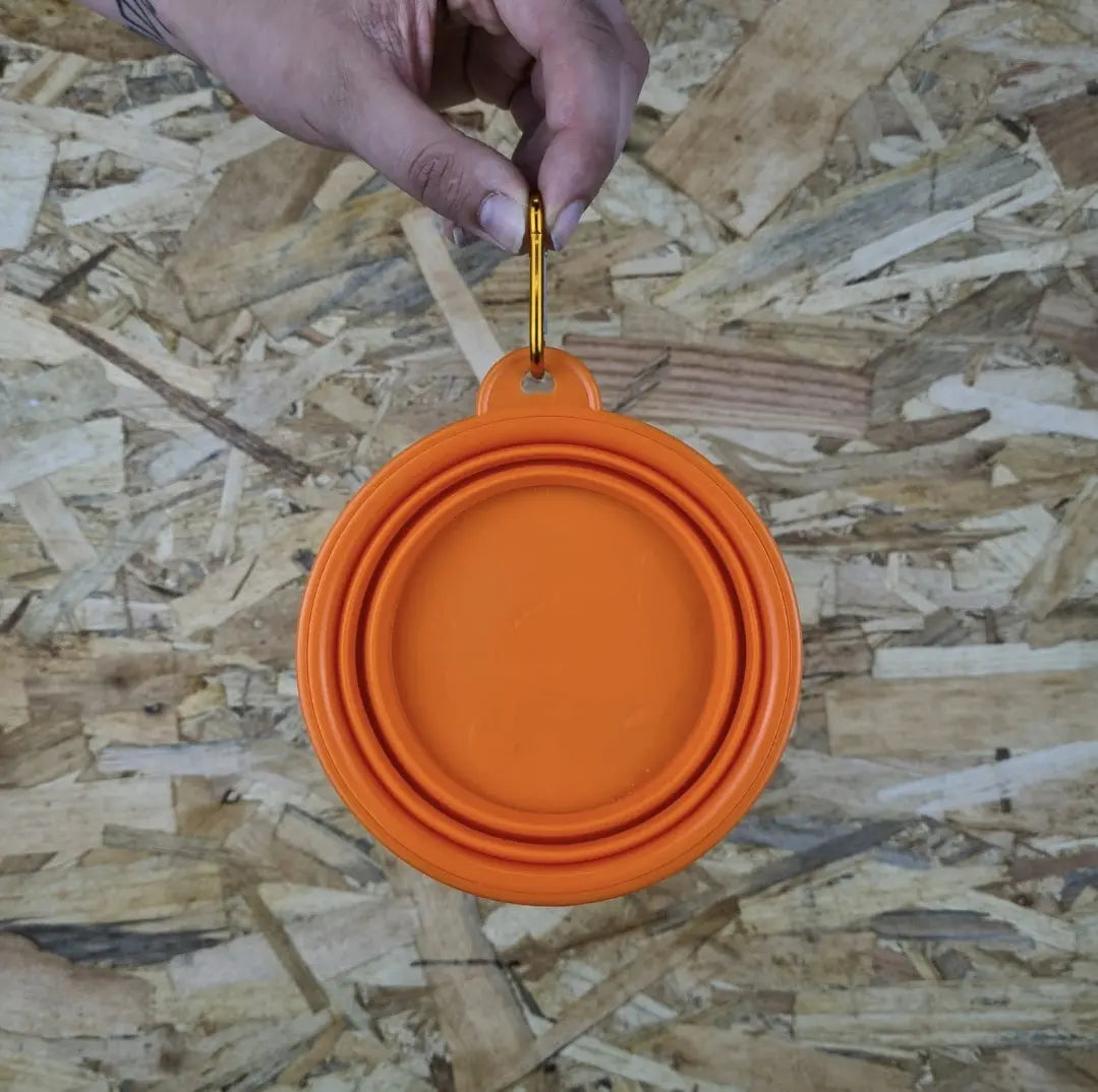 Collapsible water bowl - Orange Lili + Mila's Empawrium