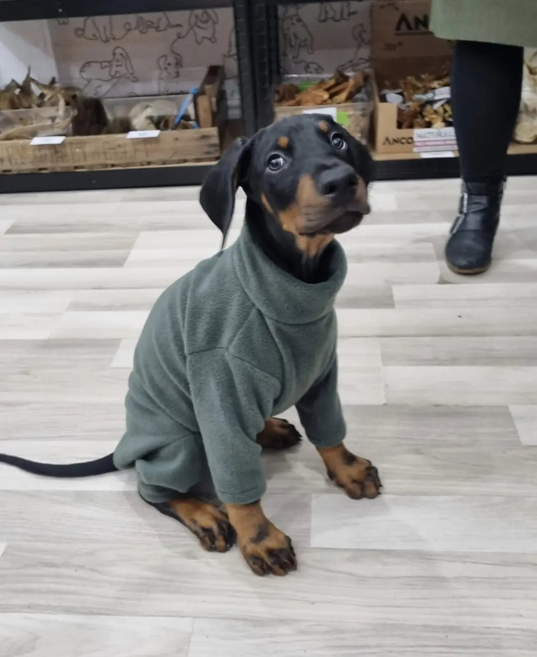 Green 4 Legged Fleece (Pawsome Suits) My Store