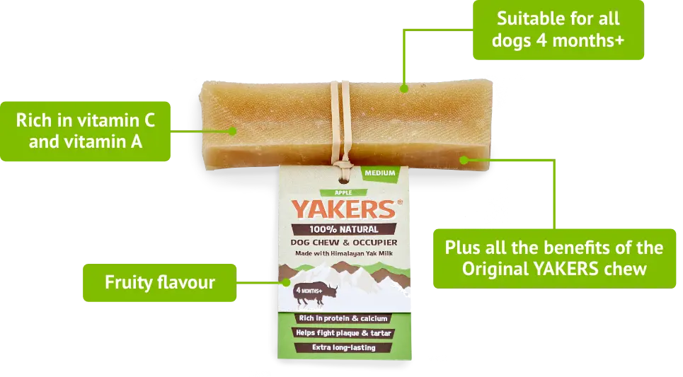 Yakers Medium Chew (Apple) Yakers