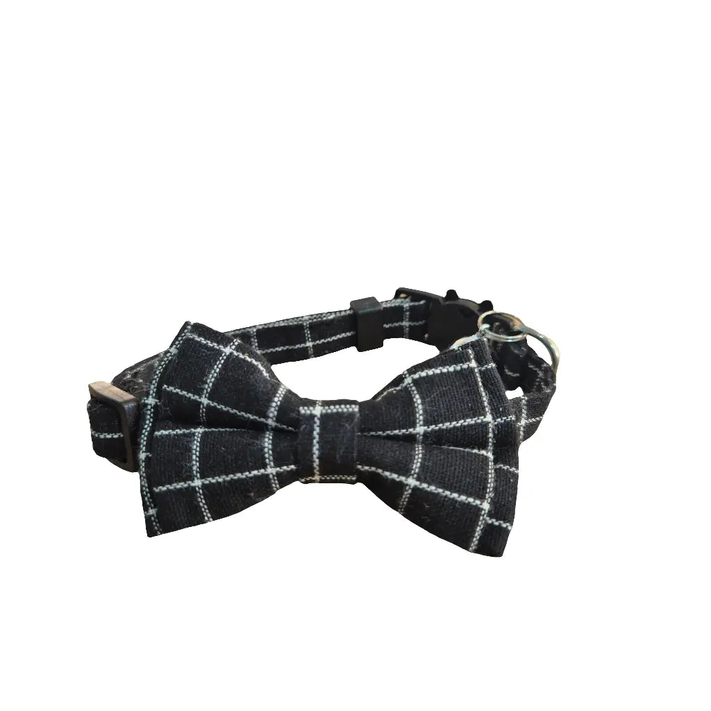 Black and White Cat Collar My Store