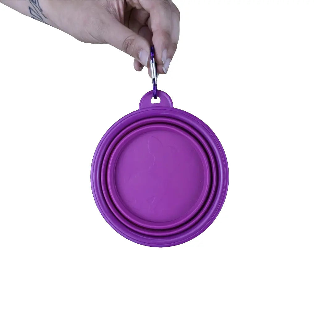 Collapsible water bowl - Purple Lili + Mila's Empawrium