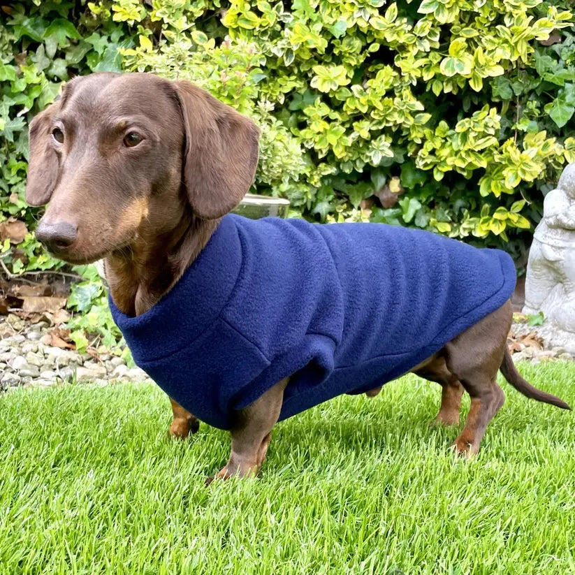 Navy Daschund Fleece (Pawsome Suits) My Store