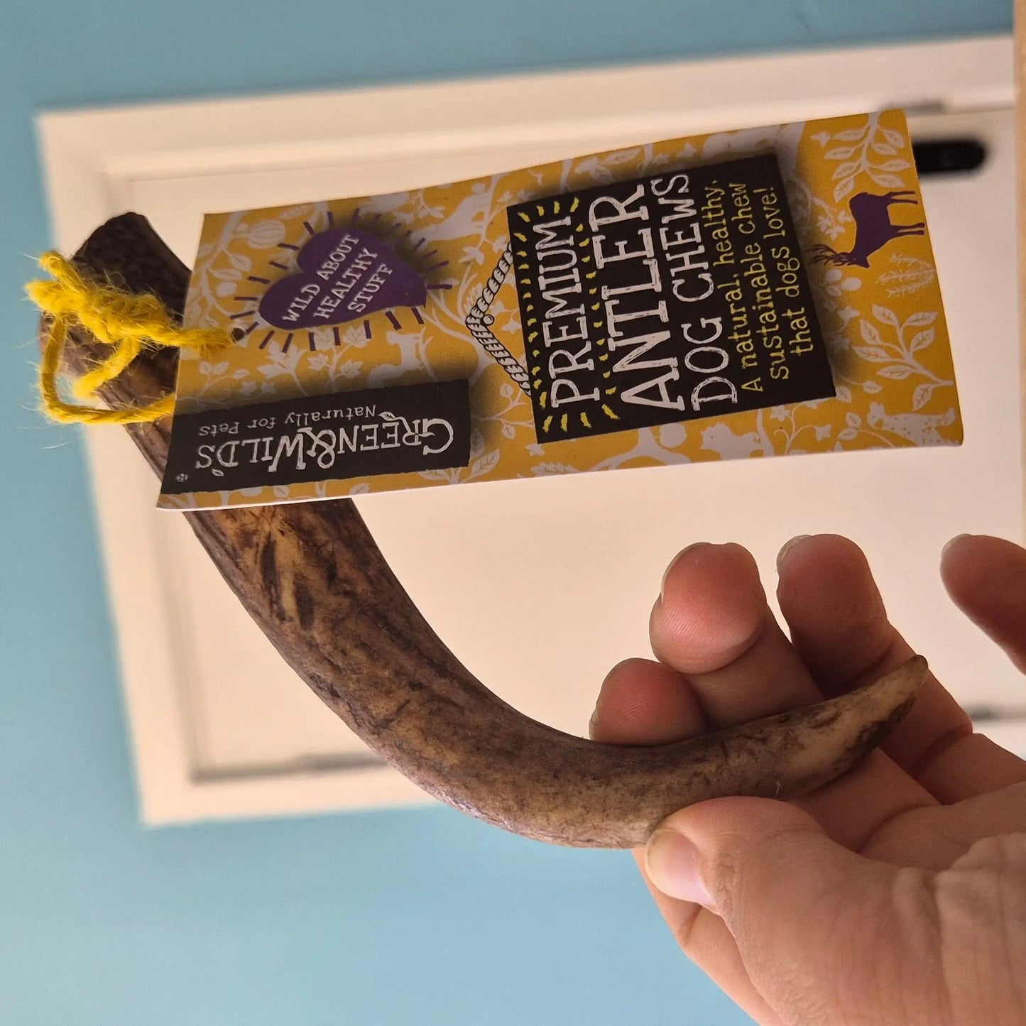 Green and Wild’s Original Antler Chew (Small) Lili + Mila's Empawrium