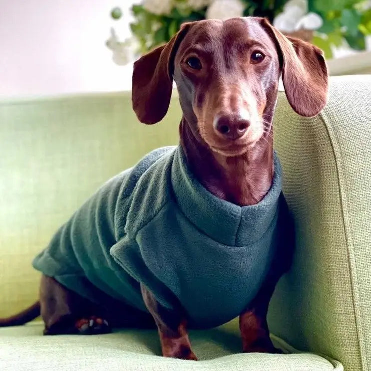 Green Daschund Fleece (Pawsome Suits) My Store
