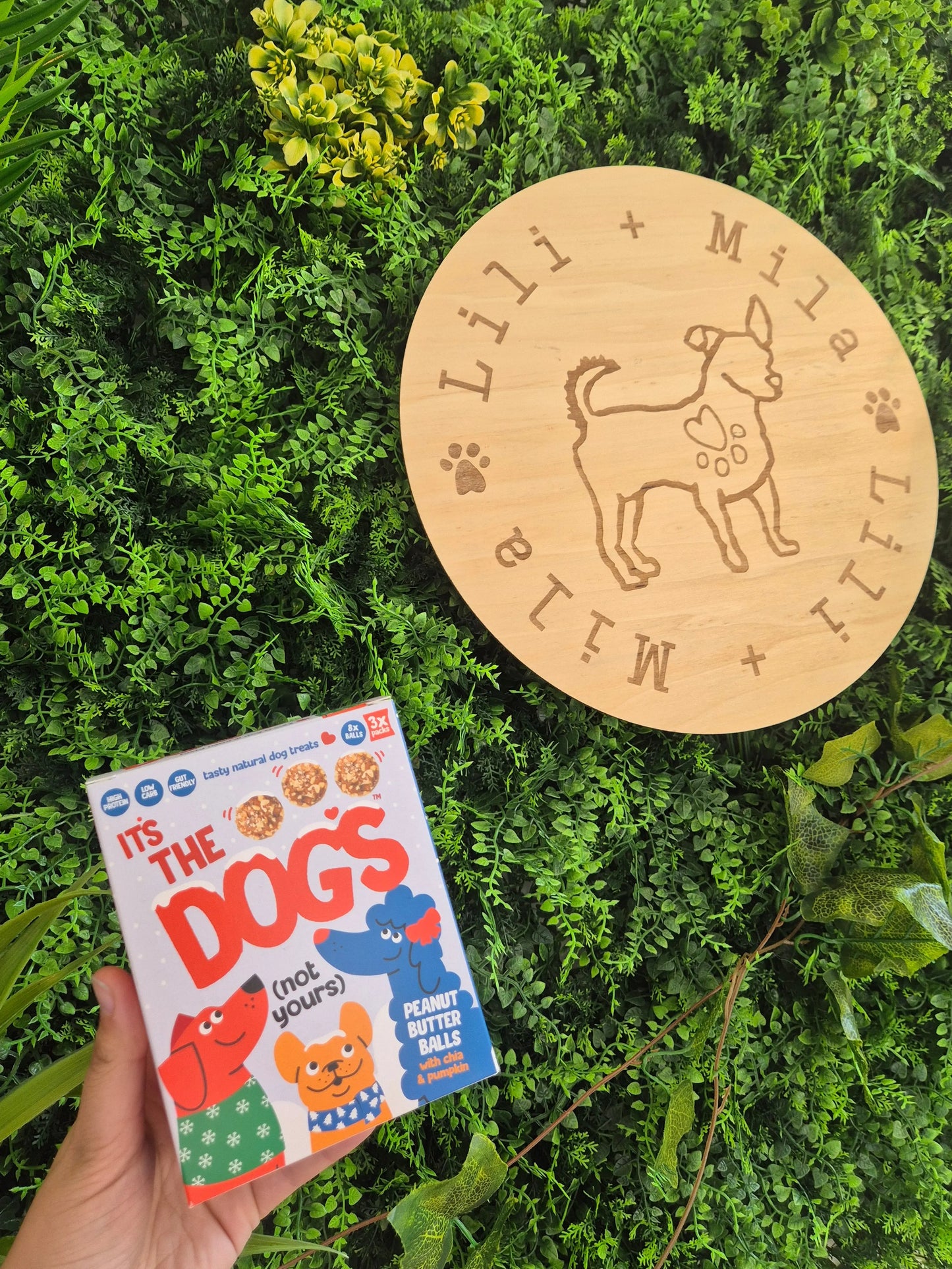 Christmas - It's Dog Balls - Protein Balls - Boxed - 3 Pack (8 Balls in each pack)