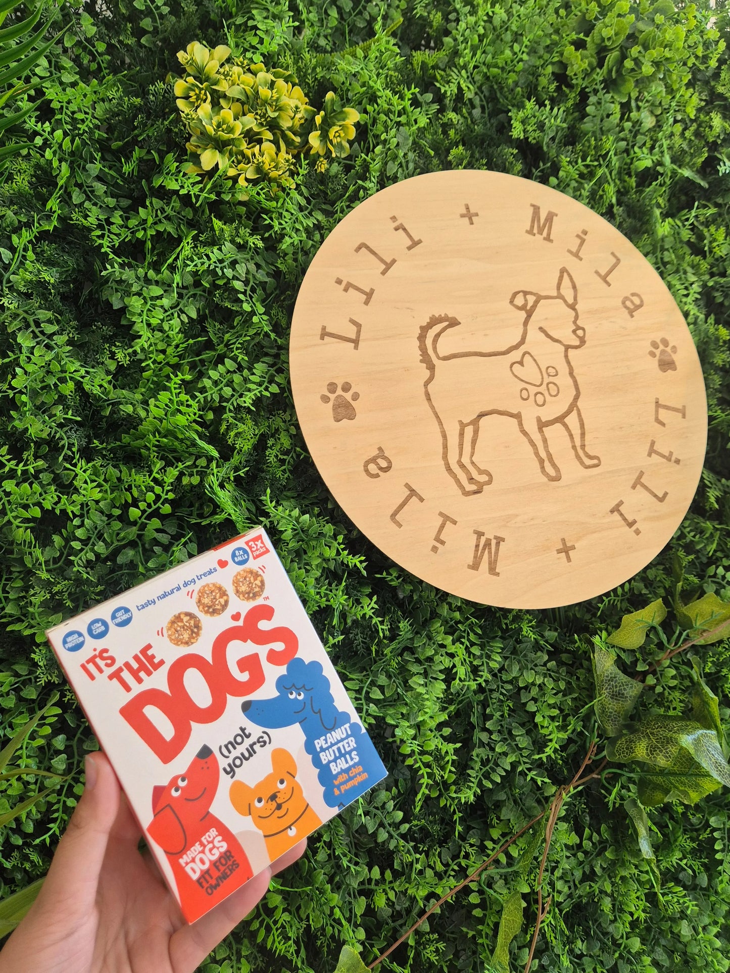 It's Dog Balls - Protein Balls - Boxed - 3 Pack (8 Balls in each pack)