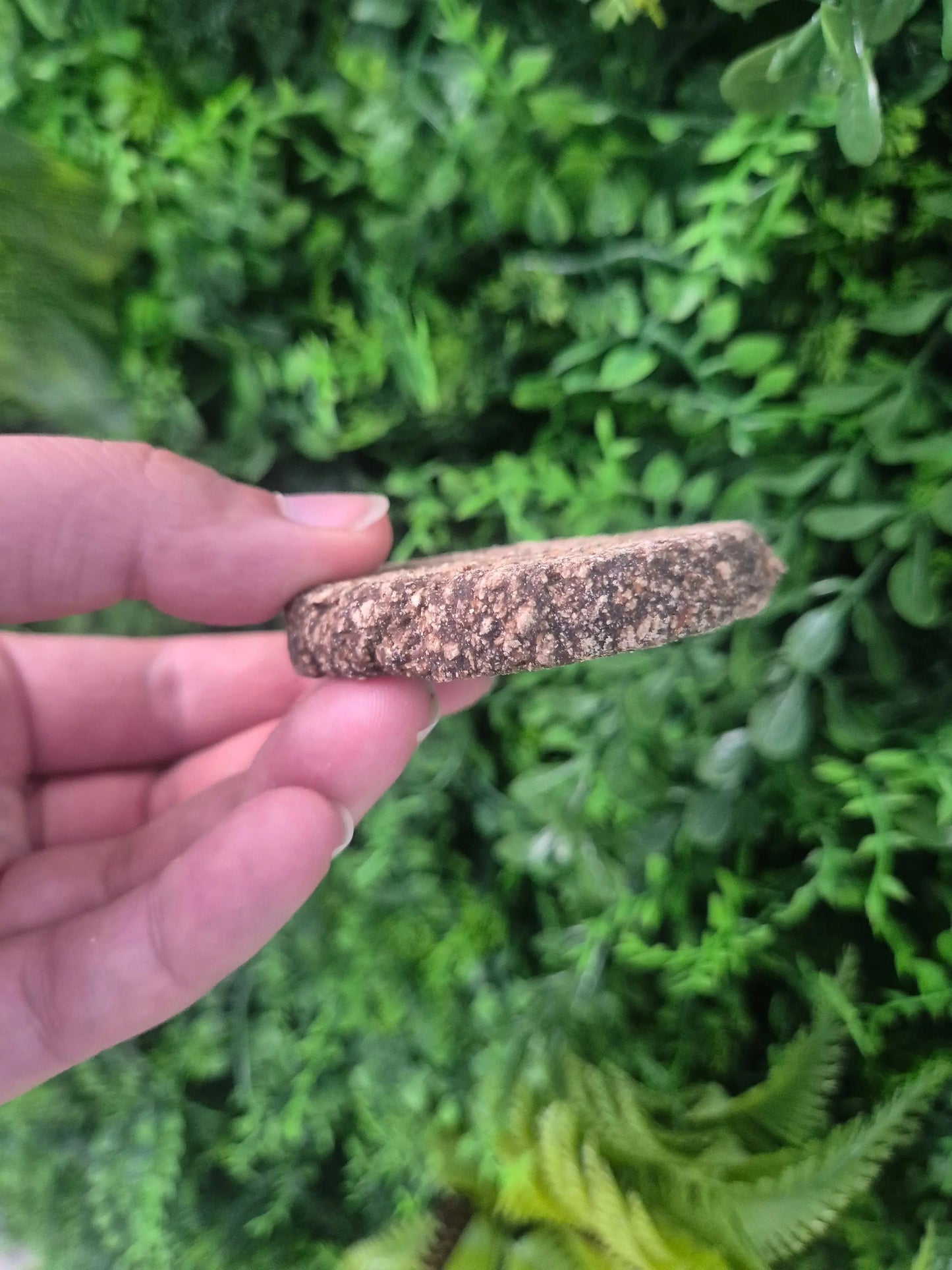 Pheasant and Partridge Burger Nova Chew