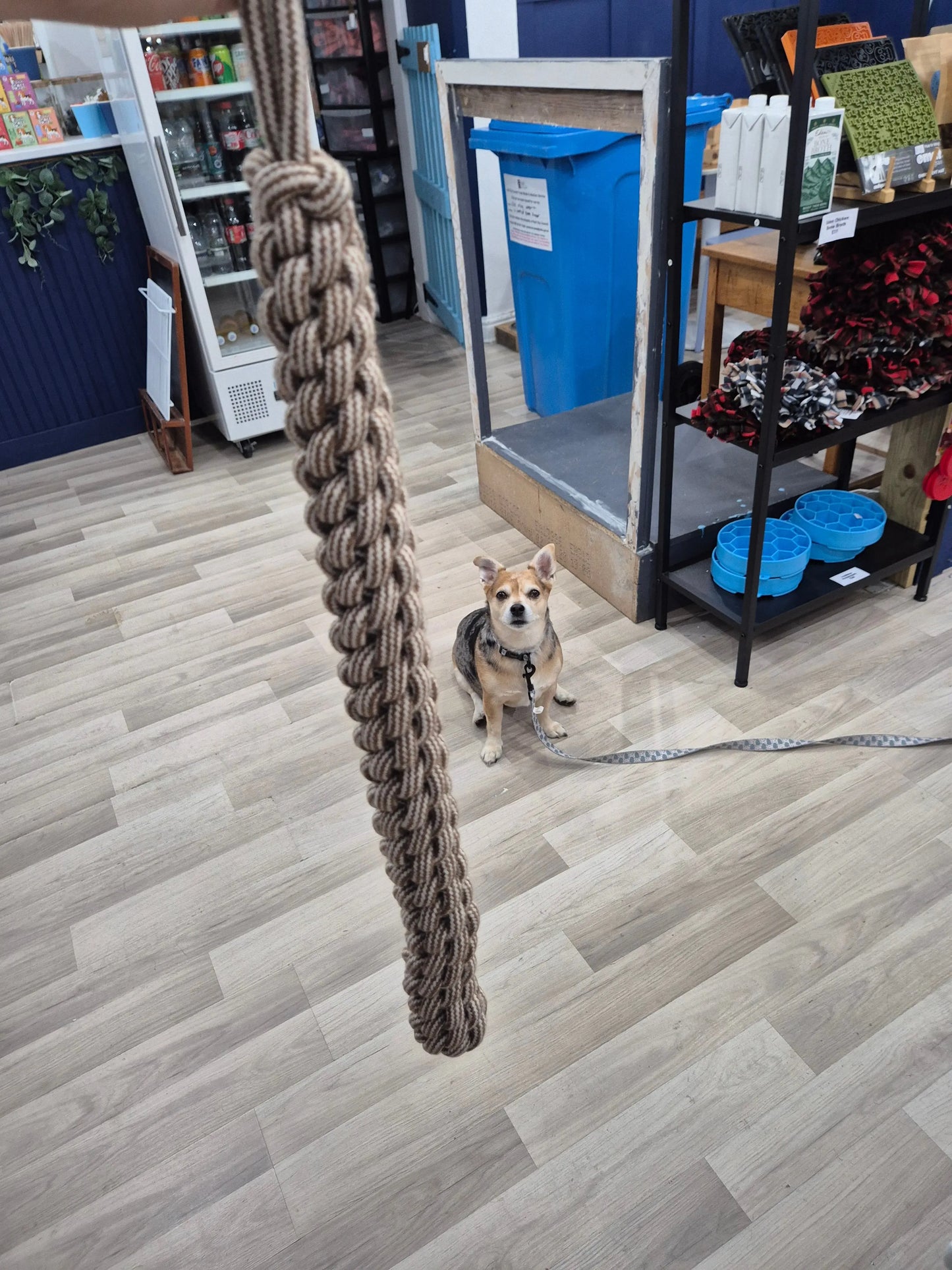 Rope Retriever Lili + Mila's Empawrium