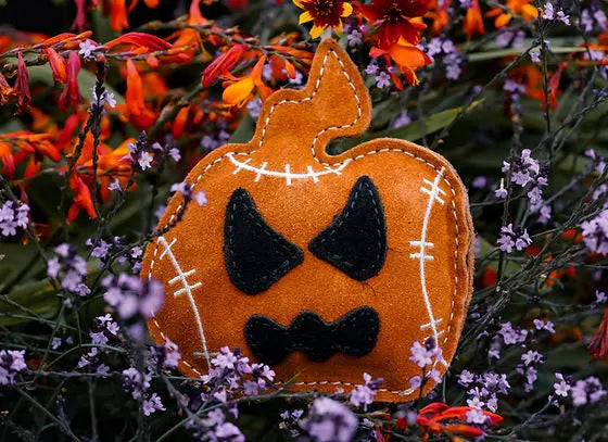 Jack the Pumpkin Eco Toy Lili + Mila's Empawrium