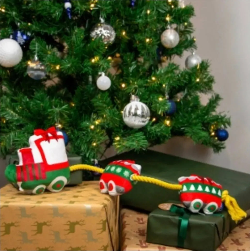 Christmas Express Ancol