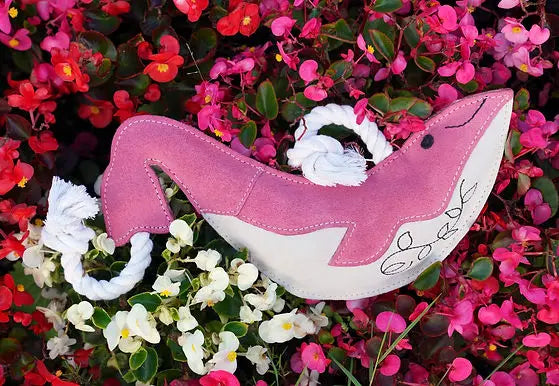 Wendy the Whale Eco Toy Lili + Mila's Empawrium