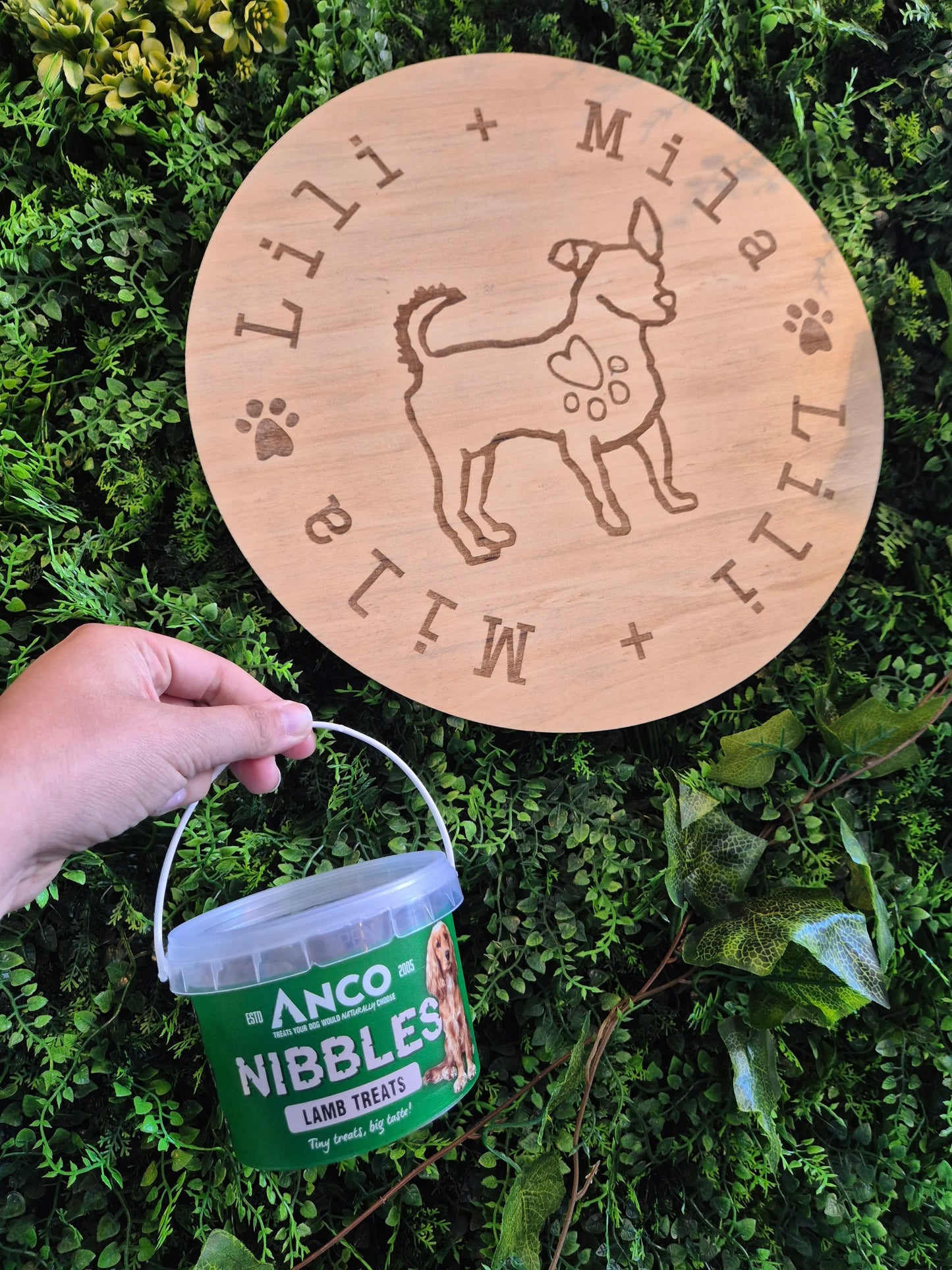 Lamb Nibbles