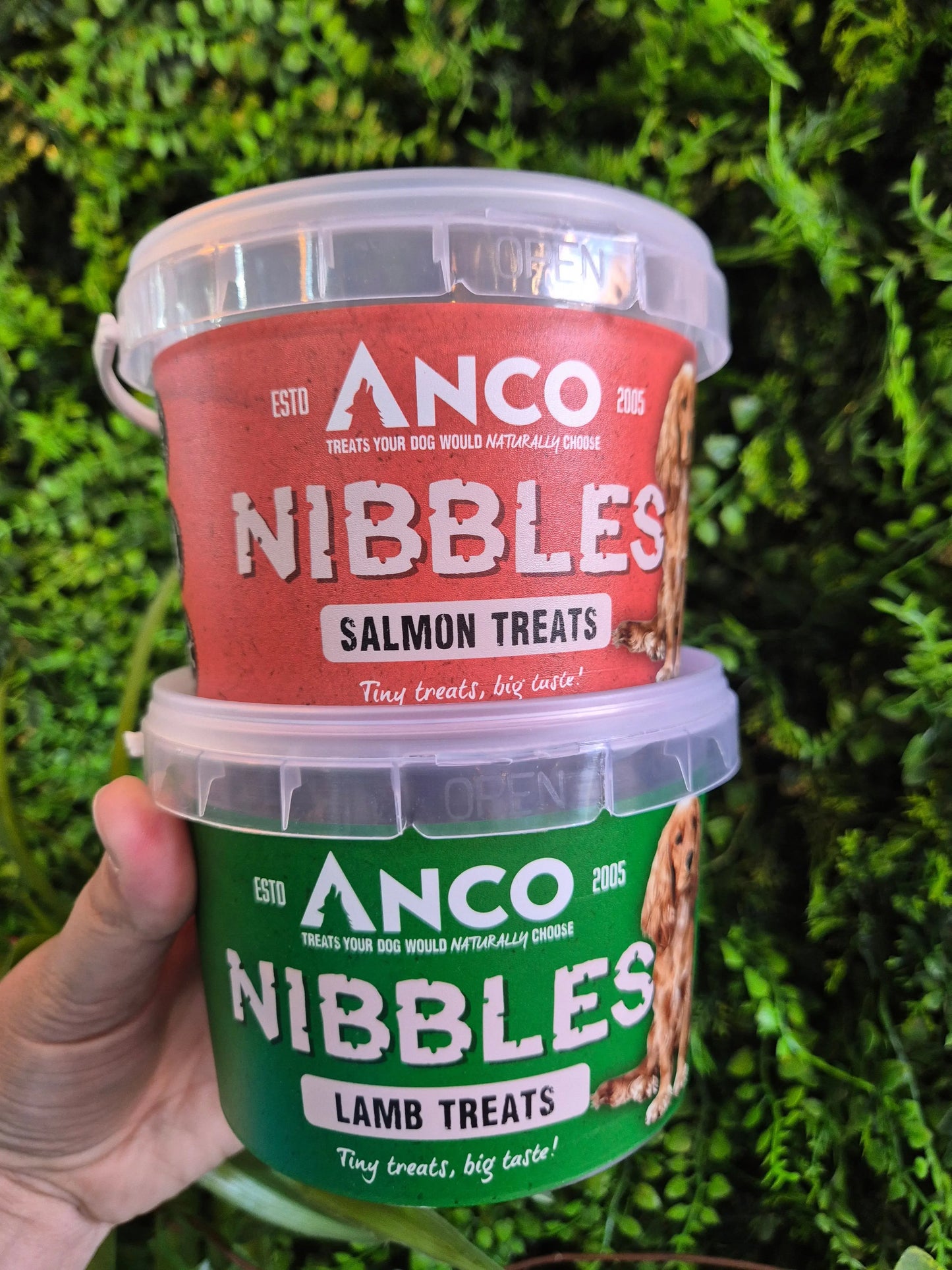 Salmon Nibbles Anco