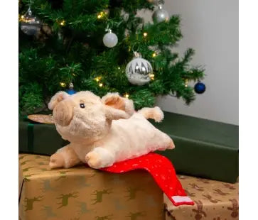 Paloma Pig in Blanket Ancol