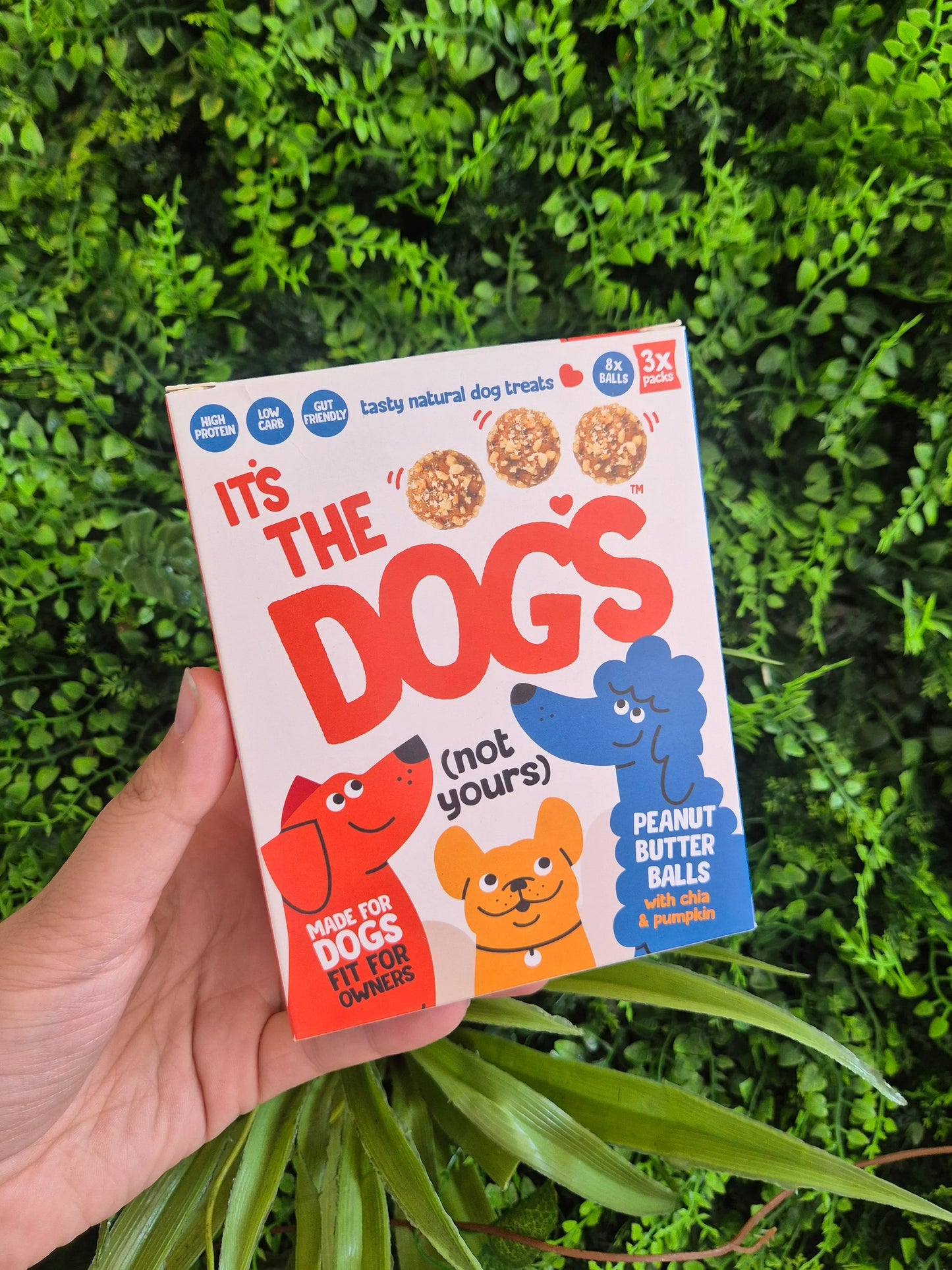 It's Dog Balls - Protein Balls - Boxed - 3 Pack (8 Balls in each pack)