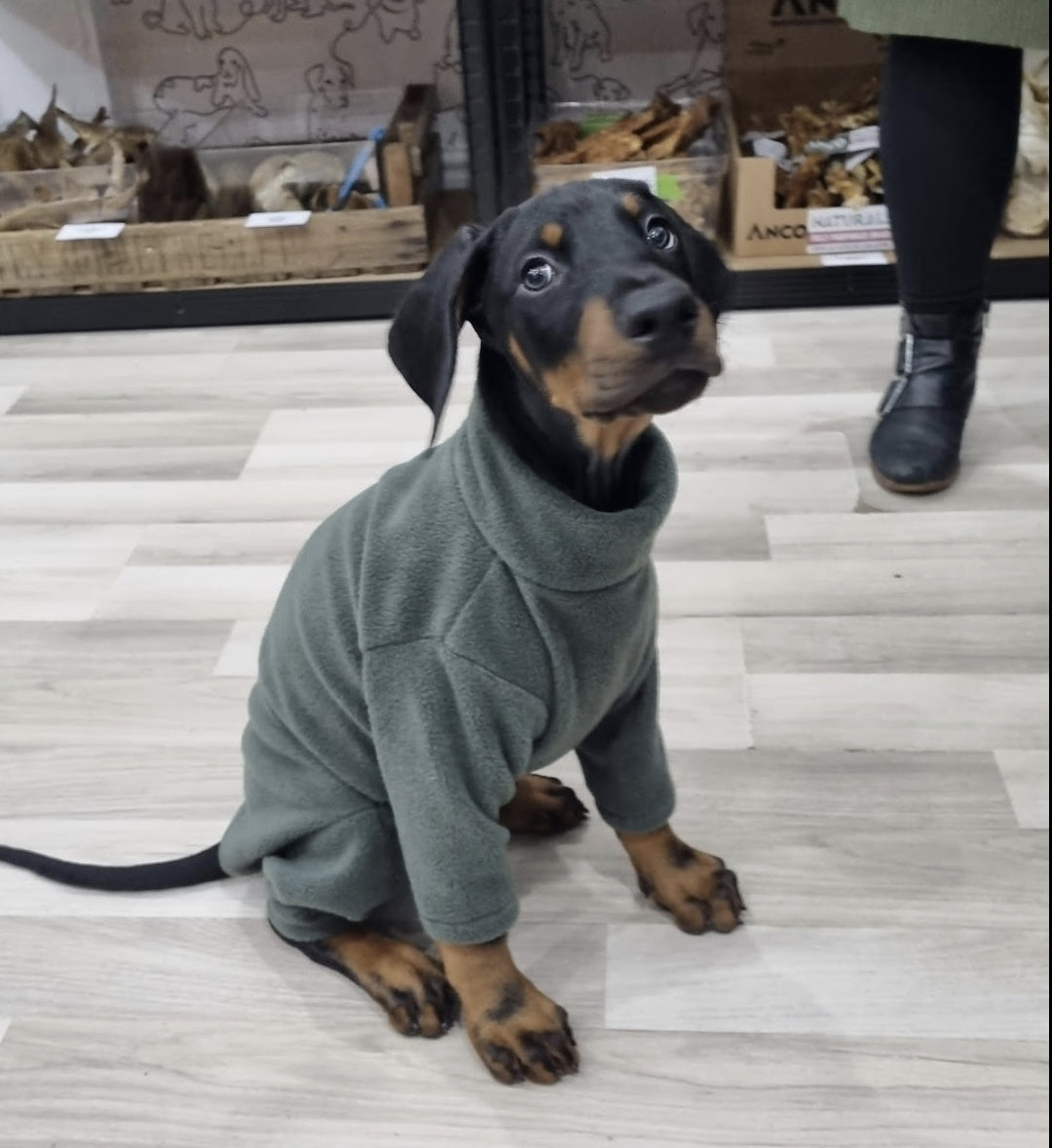 Dog Fleeces Lili + Mila's Empawrium