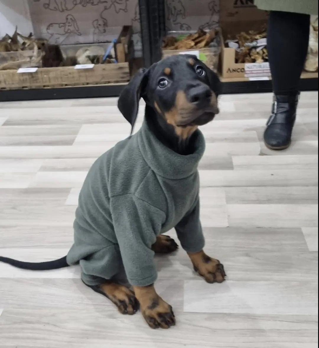 Dog-Fleeces Lili + Mila's Empawrium