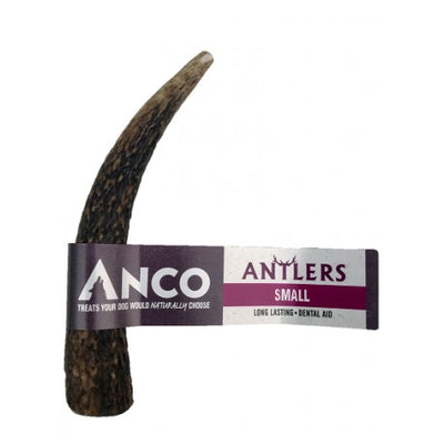 Antler Lili + Mila's Empawrium