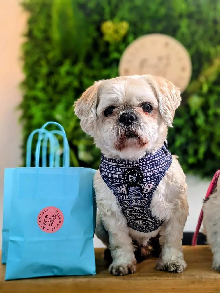 Blue-Aztec-Collection Lili + Mila's Empawrium