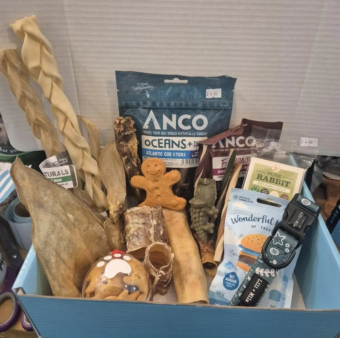 Dog-Treat-Boxes Lili + Mila's Empawrium