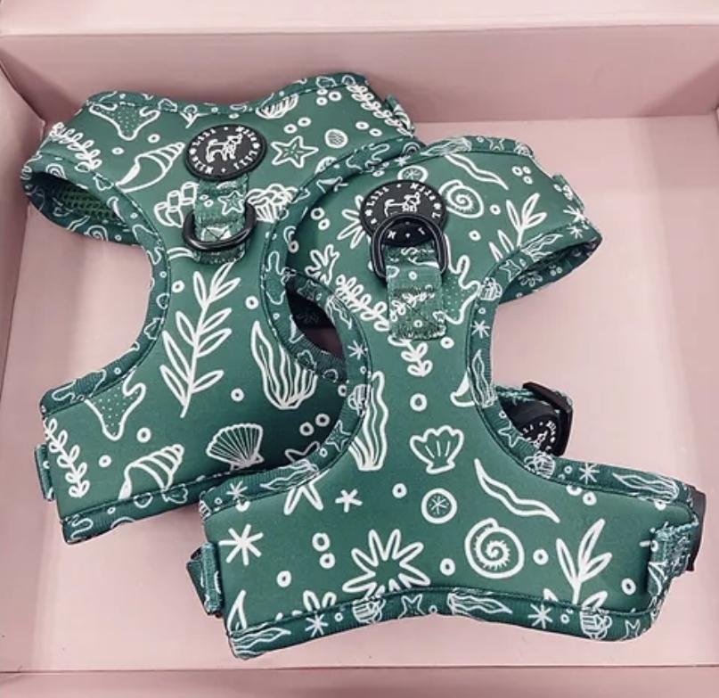 Dog Harnesses Lili + Mila's Empawrium