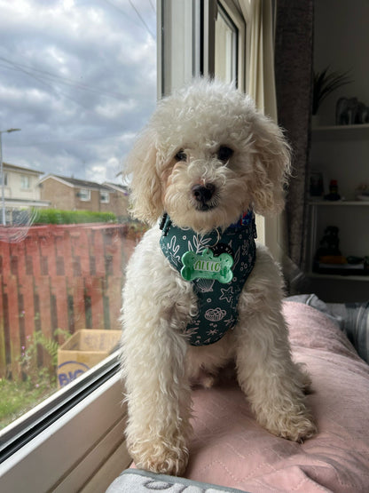 Coastal Verde (Green) Adjustable Harness
