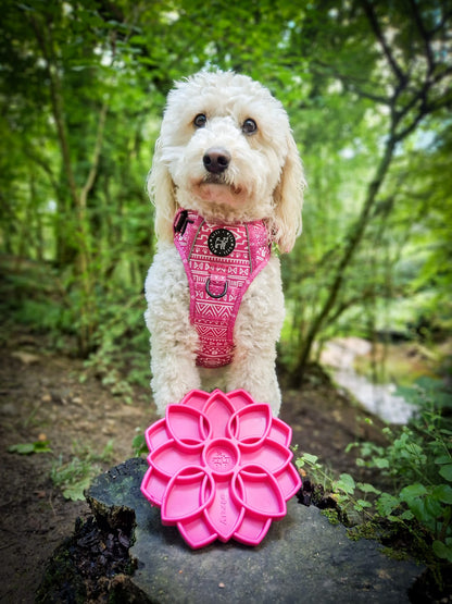 Aztec Rosa (Pink) Discovery Harness