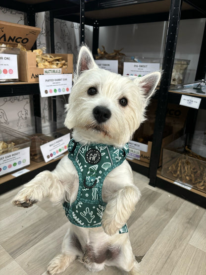 Coastal Verde (Green) Adjustable Harness