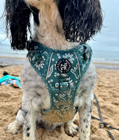 Coastal Verde  (Green) Discovery Harness